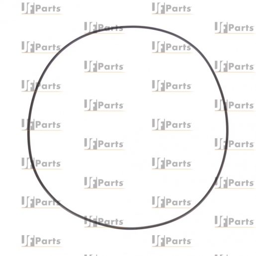 O-ring CARRARO 28579, 6193409M1, 85808262, VOE11709359, CA0028579