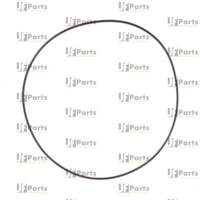 O-ring CARRARO 28562, 6193333M1, 85808276, VOE11709269, CA0028562